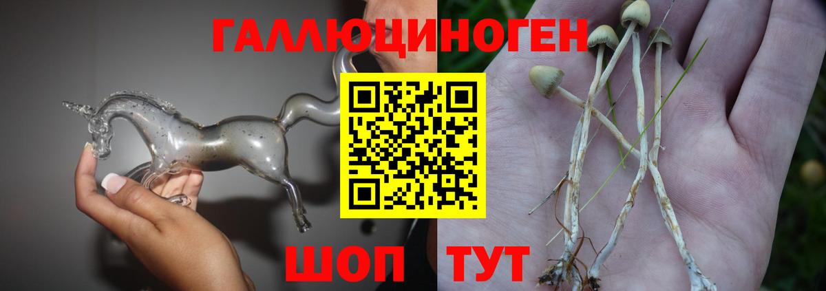 Галлюциногенные грибы ЛСД  Вход с VPN  цена наркотик  Мурино 